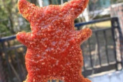 韓国人「ピカチュウトンカツの価格がとんでもないことになってる件ｗｗｗｗｗ」
