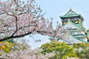 海外の反応：日本について最初に何が思い浮かぶ？「親切な人や桜、車」などたくさんの意見が挙がる