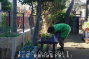韓国人「日本39歳フリーター男の1日が優雅すぎた件」「若いからできること。あと20年もすれば…」