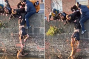 深い水路に落ちた犬を男子大学生らが一致団結し無事救助