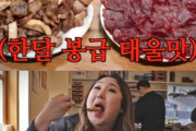韓国人「韓国グルメバラエティーに君臨するオカマが “マツコ・デラックス” でしかないんだがwww」