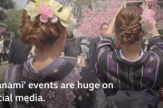 海外「HANAMI？」 海外から見た日本の春の風物詩 “ 花見” への様々な見方。   海外の反応