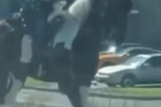 衝撃！音楽に合わせてリズムを取る馬が楽しすぎる件ｗｗｗ馬も音楽が好きなんだなｗｗｗ海外以外の反応