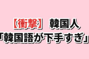 【衝撃】韓国で中国共産党の『偽警察』が大量出現…韓国人「韓国語が下手すぎてバレるｗｗｗ」