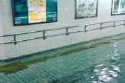 日本の洪水時の写真が「プールのように綺麗過ぎ！」と海外でまた話題に