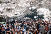 海外「甘く見すぎ…」新型コロナで自粛要請するも花見客であふれる日本に海外困惑（海外反応）