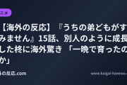 【海外の反応】『うちの弟どもがすみません』15話、別人のように成長した柊に海外驚き 「一晩で育ったのか」