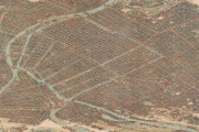 外国人「100年前の大阪市の地図を発見したので見てくれ！」