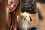 【海外】「ハッピーアワーで犬と出会った！？思わぬ幸運で家族が増えた話」