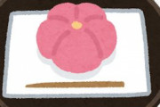 海外「まさかここまで進化していたとは」日本の最新の和菓子の見た目があまりに芸術的で洗練されすぎてると話題に
