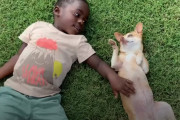 犬が怖かった男の子に受け入れられた、守護天使のようなワンちゃん
