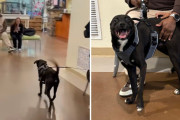 【海外】家族と再会して笑顔が止まらないシェルター犬ちゃんがかわいすぎる！