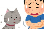 海外「完全に消えた！」日本に来た外国人からあの病気が消える現象に海外がびっくり仰天