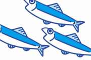 函館の海岸に物凄い大量の魚が打ちあがる　【海外の反応】