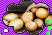 【海外】じゃがいもってなんで「スパッド」って呼ばれてるの？