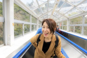 超便利！エスカレーターの仕組みはどうなっている！？ 海外の反応