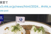 韓国人「全韓が衝撃！」日本人が『竹島』にそっくりなカレーを作り、それが韓国で報道されてしまう‥　韓国の反応