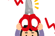 韓国人「日本と経済統合を組んだら日本を養うことになるのでお断りします」