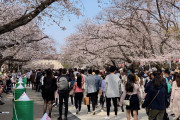 海外「くだらない」東京都が週末の不要不急の外出自粛を呼びかけ（海外の反応）