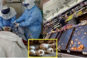 米国人「コロナにはニンニクキムチだ！」韓国人はニンニクを沢山食べるのでコロナ死亡率が低いというニュースが広まり、米国でニンニクが買い占められる　韓国の反応
