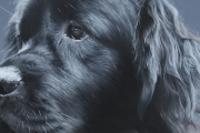 海外「リアルすぎて本物にしか見えない犬の絵がヤバすぎる・・・」外国人が描いた本物と見分けがつかない油絵の作品が話題にｗｗｗ