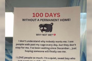 【海外】「100日間待ち続けた犬のために、心打つサインを掲げた保護施設のスタッフ」