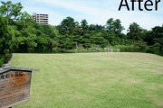 ゴミ拾い前とゴミ拾い後の日本の公園（海外の反応）
