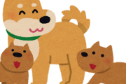韓国人、動物保護団体から犬の家族を譲渡してもらったその日に丸ごと鍋にして食べてしまう