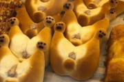 【悲報】韓国人「日本人が遂にマジでヤバ過ぎる犬パンを発売してしまう‥（ﾌﾞﾙﾌﾞﾙ」→「味はどうなのでしょうか？」　韓国の反応