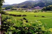 海外「私が住もう！」日本の移住支援金が海外で話題に（海外の反応）