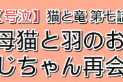 【号泣】『猫と竜』第7話、国際猫の日に描かれた母猫と“羽のおじちゃん”の再会に海外号泣「あの再会で泣かなかったやつは男じゃない」