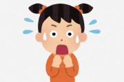 海外「日本に狂気を感じる」「どうしてこうなった」日本で行われたニュージーランドとの奇妙な貿易会議