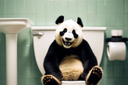 中国人「日本人が考えたトイレの便利グッズがなんかすごい」　中国人「そもそもの発想が間違ってる」「日本らしい商品と中国らしいコメント欄」