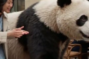 フランス留学中の中国人「日本に留学している留学生が羨ましい」　中国人「日本は超楽しい」「今すごく吉野家が食べたい」