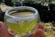 外国人「日本のお茶農園でグリーンティをいただきました。」　海外の反応
