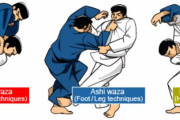 海外「柔道の単語を聞く度にウィーブさを感じる」