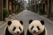 中国人「愛知県の小都市の夜がSNSの情報その通りだった」　中国人「これは真実」「愛知は広い」「愛知は大都会」