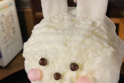 外国人「日本はかき氷をこうやって盛り付けて食べるらしい！」