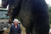 「日本にクマが生息してるとは知らなかった」世界各国の危険生物を語るスレ
