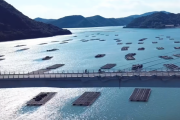 「日本の海に浮かぶこの謎の物体は何？」外国人が詳細を知りたがった日本のモノ特集