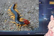 海外Vチューバー「日本で殺人ムカデに噛まれたけど耐えたわ！」