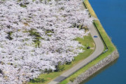 「五稜郭の景色がドット絵かと思った」親日外国人が風景を愛でるスレ