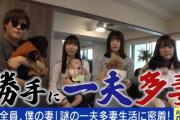 【画像】韓国人「現在日本を大騒ぎさせた一夫多妻家庭」→「日本が少子化時代の答えを出したね」　韓国の反応