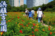海外「東京にもきれいな庭園があるんだね！巨大都市なのにすごい！」東京の浜離宮恩賜庭園の動画が話題に（海外の反応）