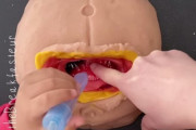 粘土を使って女性医師が我が子に帝王切開の手術方法をレクチャー