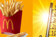 マクドナルドのフライドポテトは購入してからどれくらいの時間までおいしく食べられるのか？実験結果報告（アメリカ）