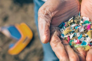 【海外の反応】日本近海のマイクロプラスチックは北大西洋の5,500倍　海外の反応「日本の魚介類は避けるべき、日本の海岸では中国や韓国のペットボトルをたくさん見る」