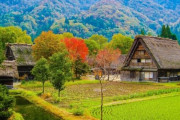 韓国人「秋になると無性に日本に行きたくなる」