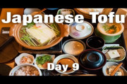 【京都の旅】はじめての精進料理に、ドキドキ！？