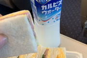 「カルピスは最高だよな！」日本旅行中に外国人が堪能したグルメが話題に